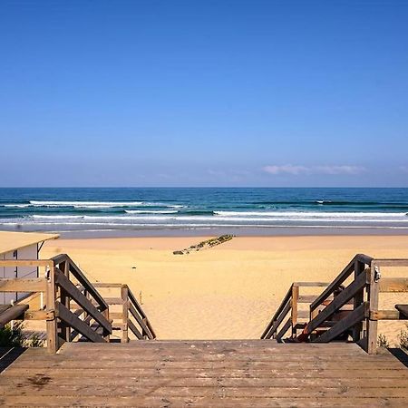 La Cabane Maddyblue 5 Min A Pieds De L'Ocean Et Commerce Мимизан-Плаж Экстерьер фото